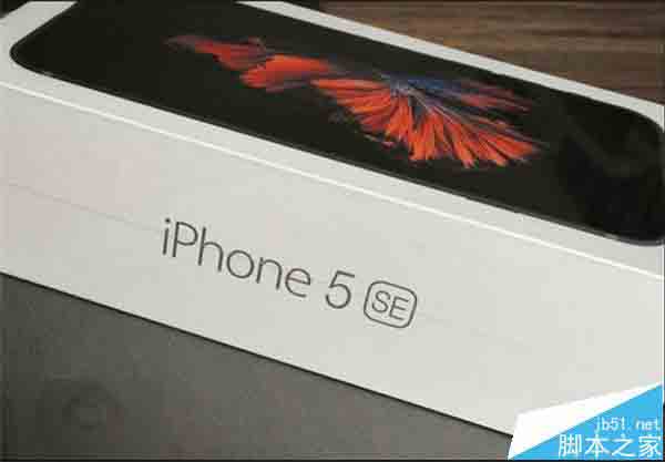 iPhone5SE起售价多少钱?