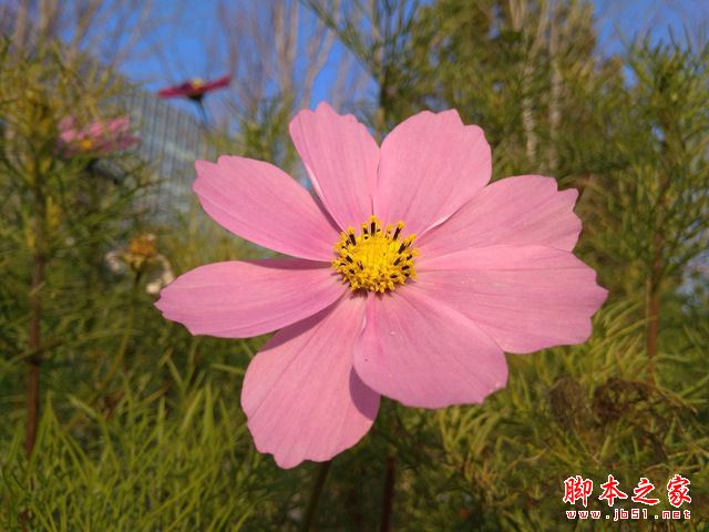 红米4A值不值得买