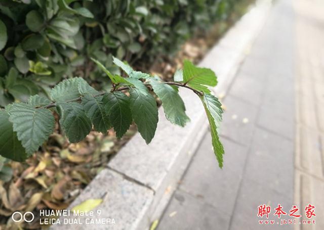 华为Mate9值得购买吗