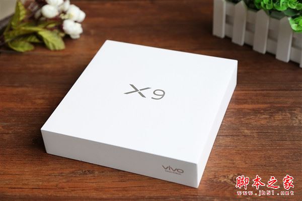vivo