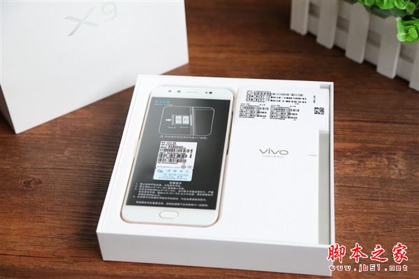 vivo