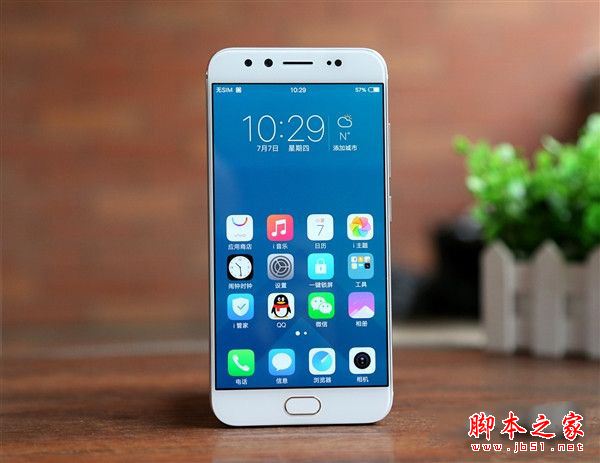 vivo