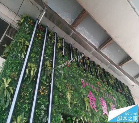 荣耀8青春版值得买吗