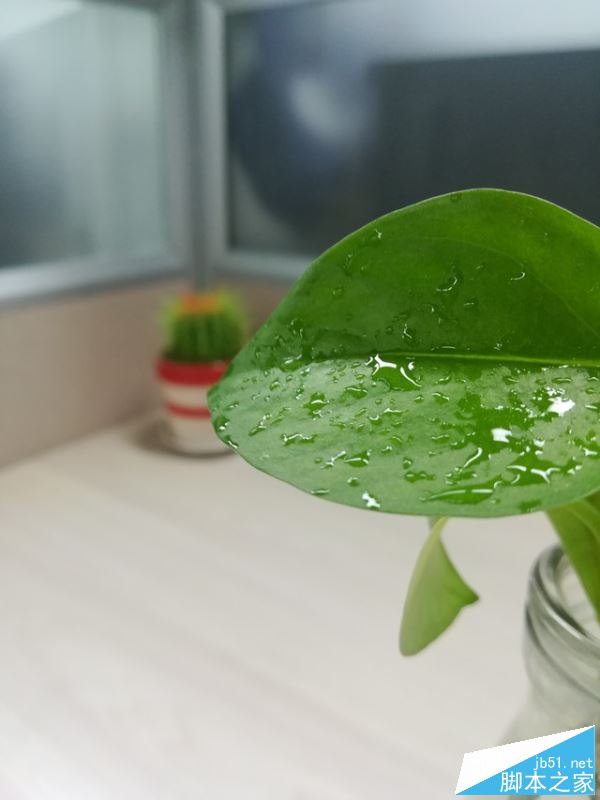 荣耀8青春版值得买吗
