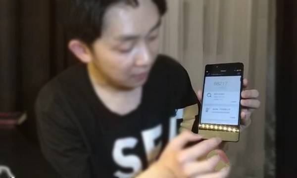 坚果Pro跑分多少
