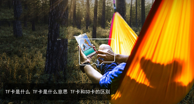 TF卡是什么 TF卡和SD卡的区别介绍