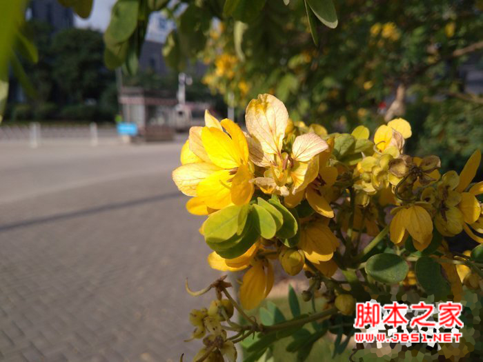 红米4A手机怎么样