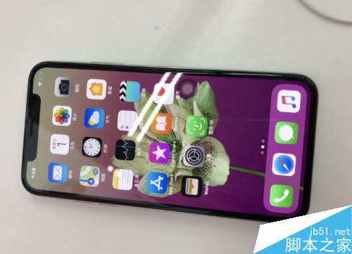 苹果手机没有Apple