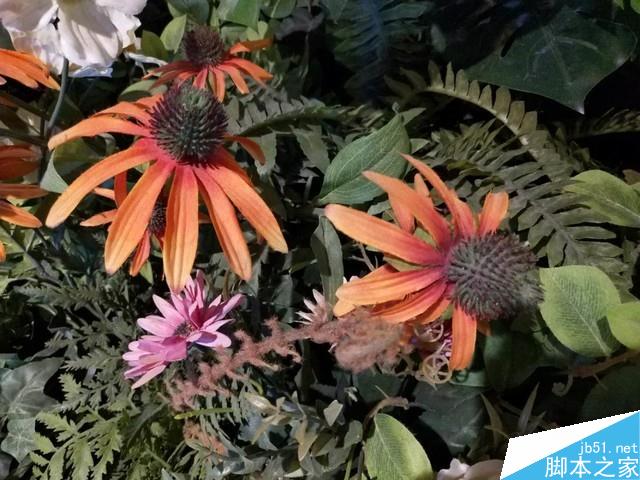 魅蓝E3值得买吗？魅蓝E3配置/性能/拍照全面图解评测