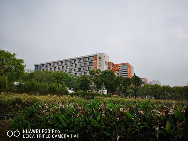 华为P20值得买吗