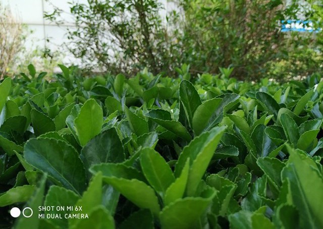 小米6X值得买吗？小米6X手机全面详细图文评测