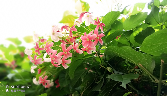 魅蓝6T值得买吗