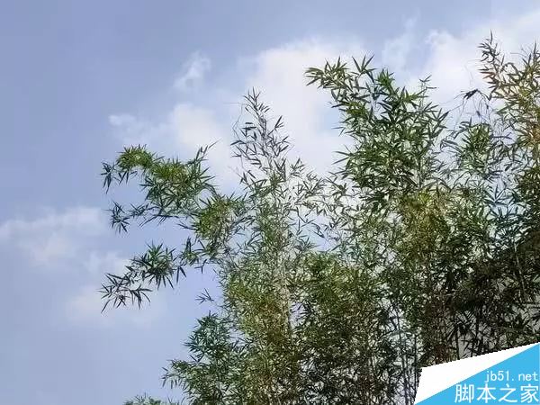 realme X2值得入手吗 realme X2上手体验全面评测