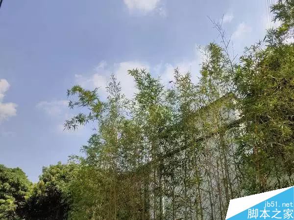 realme X2值得入手吗 realme X2上手体验全面评测