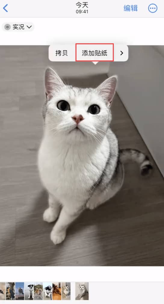 iPhone个性贴纸