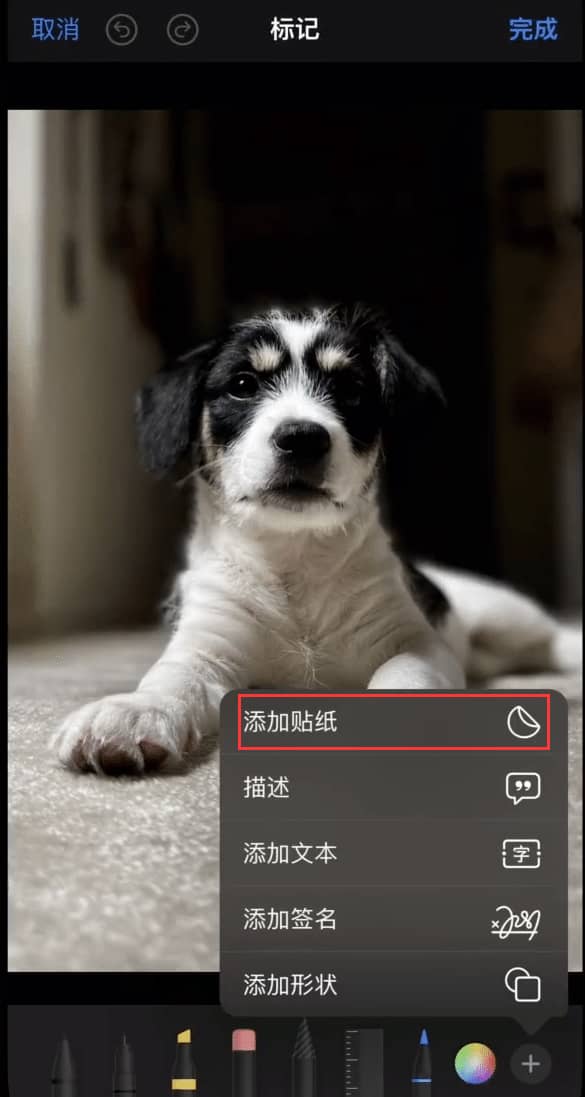 iPhone个性贴纸