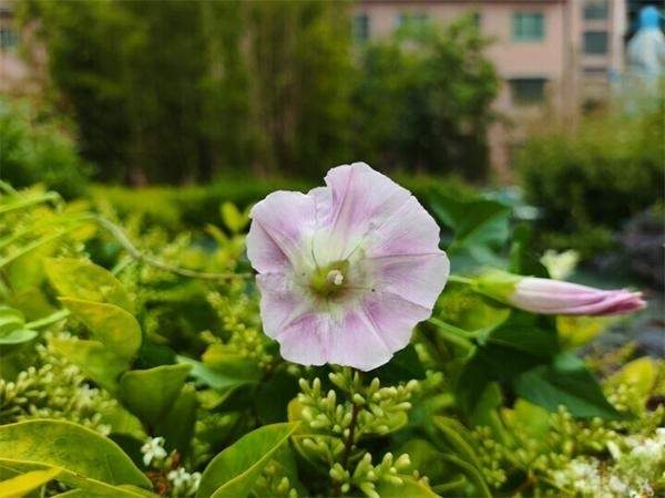 RedmiNote12Turbo开箱体验