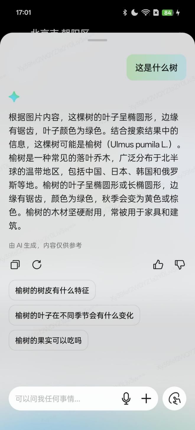 OPPO Reno13 Pro评测