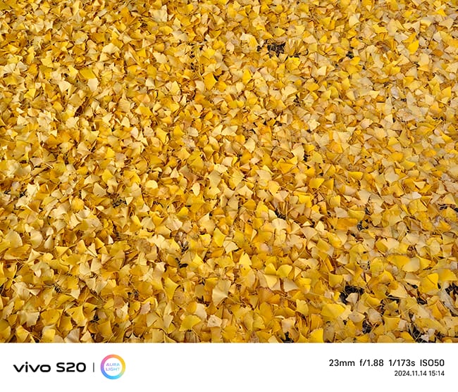 vivoS20评测