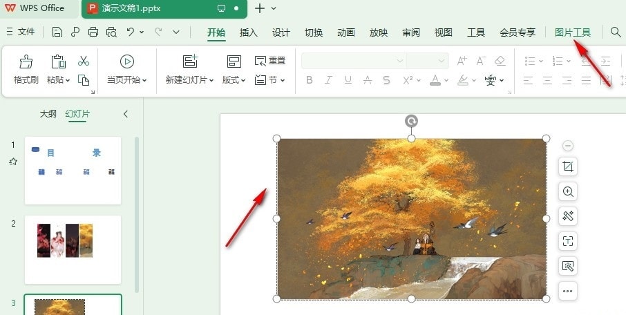 WPS对比度