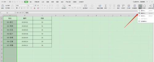 Excel替换不规则字段