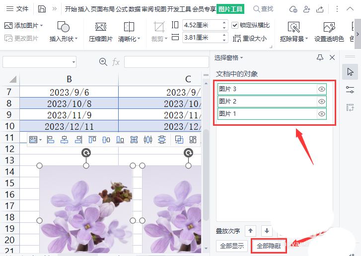 Excel表格怎么把图片全部隐藏起来