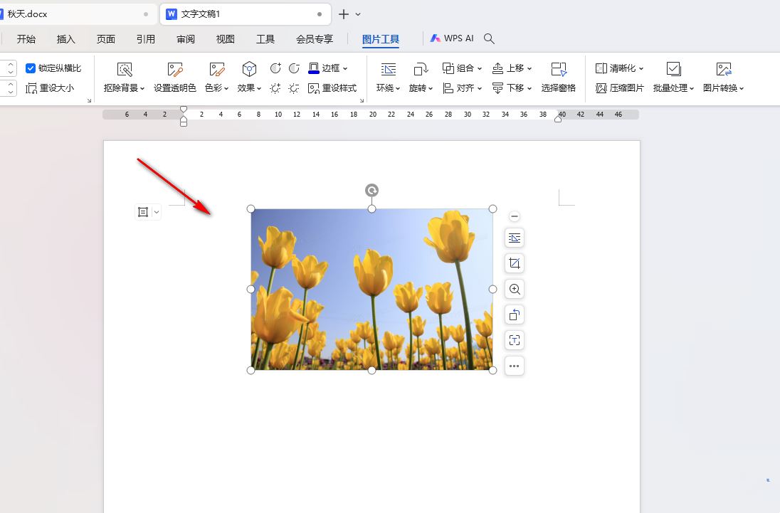 WPS怎么设置图片水平居中