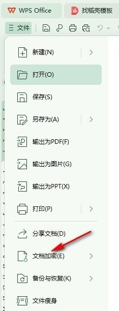 WPS预览图片