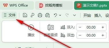 WPS加密类型