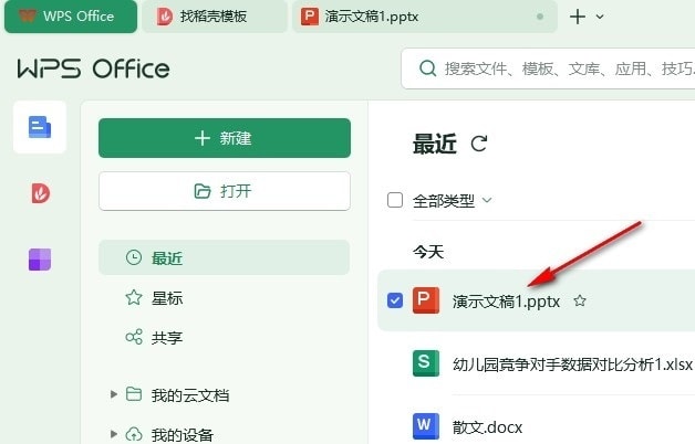 WPS加密类型