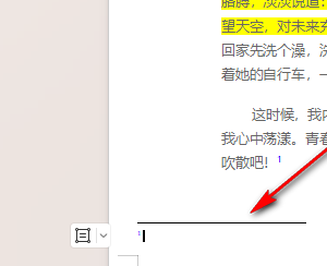 WPS脚注