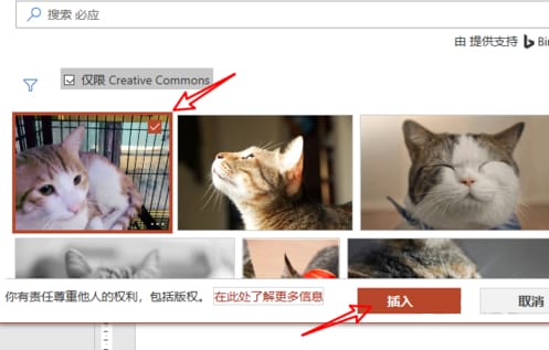 PPT在线图片