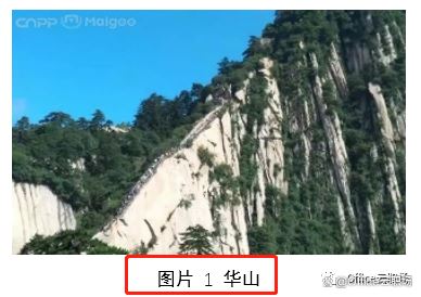 Word里的交叉引用