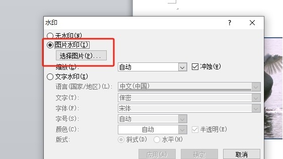 word图片水印