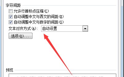Word公式文字对齐