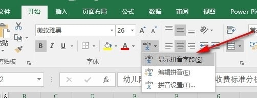 Excel拼音