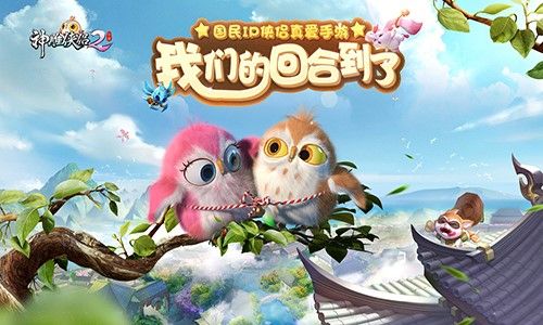 神雕侠侣2战斗系统玩法攻略