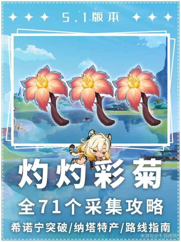 原神灼灼彩菊分布图