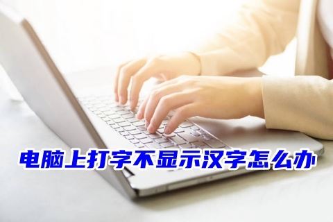 电脑打不出汉字问题