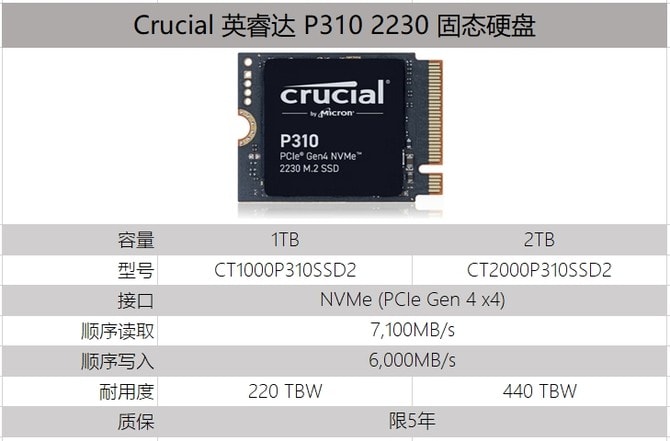 英睿达P310