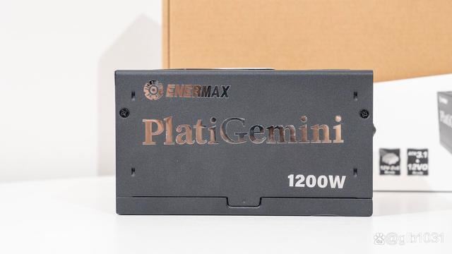 安耐美PlatiGemini评测