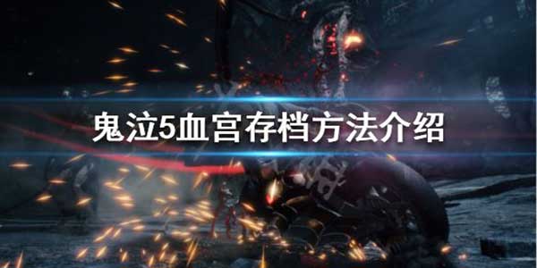 鬼泣5血宫存档方法介绍