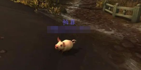 wow帕菲宠物获得方法