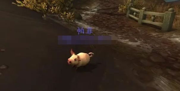 wow帕菲宠物获得方法