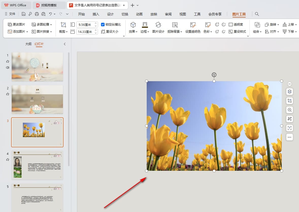 WPS黑白图片