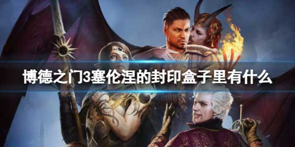 博德之门3塞伦涅的封印盒子物品介绍