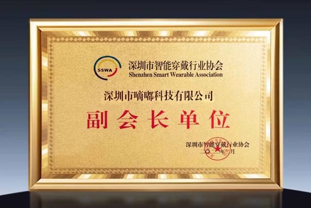 dido气泵血压手表评测