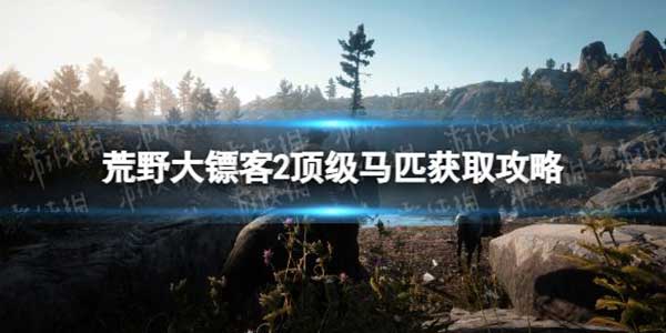 荒野大镖客2顶级马匹获取攻略