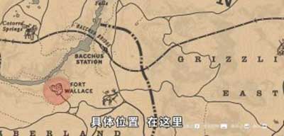 荒野大镖客2传说动物皮毛作用介绍