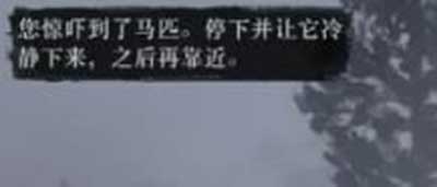 荒野大镖客2白色阿拉伯马位置介绍